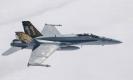 avion Italeri F/A-18 Hornet Tiger Meet 2016 avion Italeri F/A-18 Hornet Tiger Meet 2016