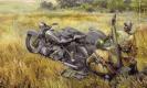 militaire Zvezda Moto M-72 avec mortier militaire Zvezda Moto M-72 avec mortier